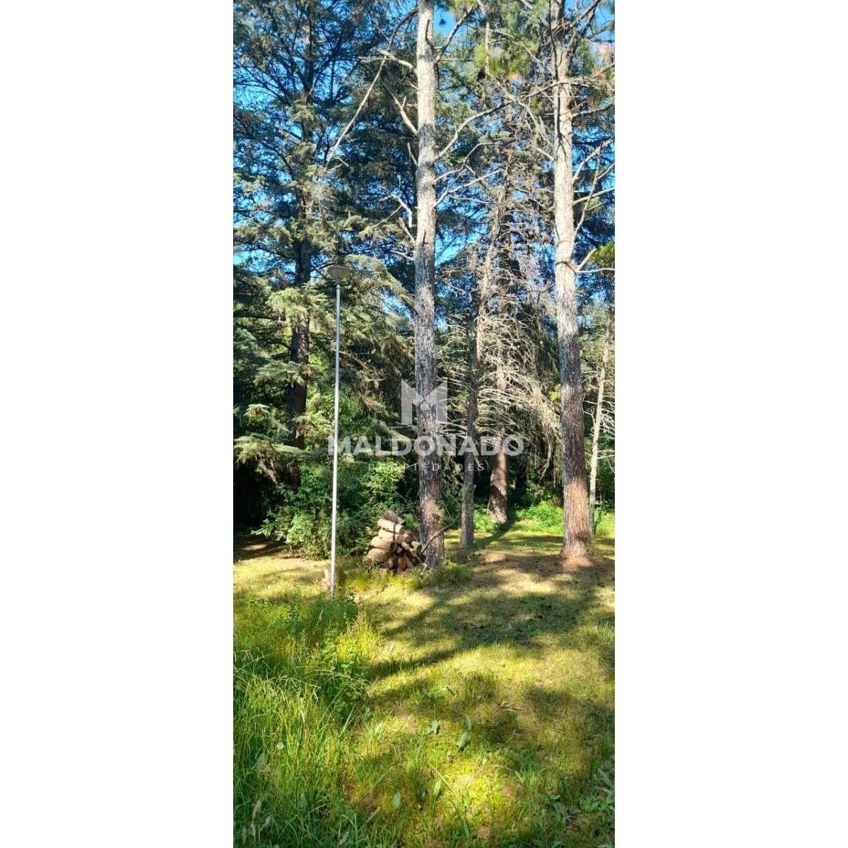 Lote en Venta en Salsipuedes 3