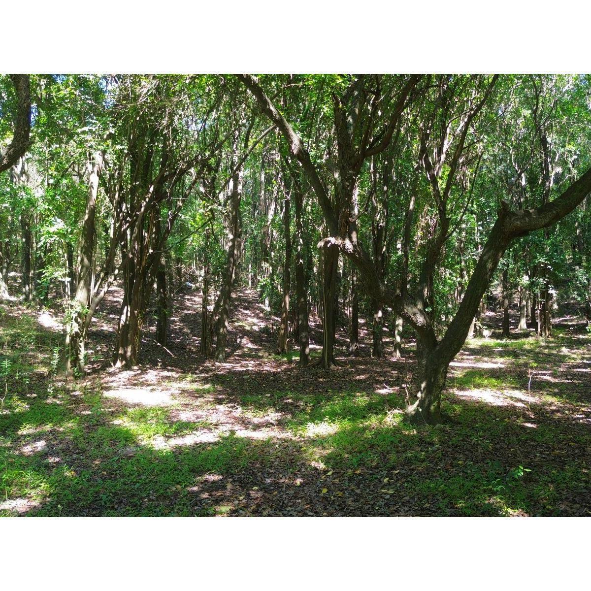 Lote de terreno Camino al Cuadrado y ruta E-53