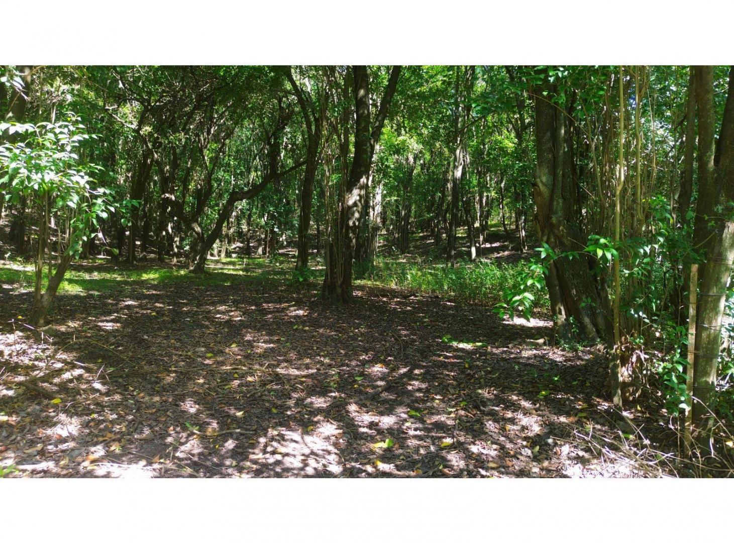Foto de Lote en venta Camino al Cuadrado, Rio Ceballos Salsipuedes, imagen 5