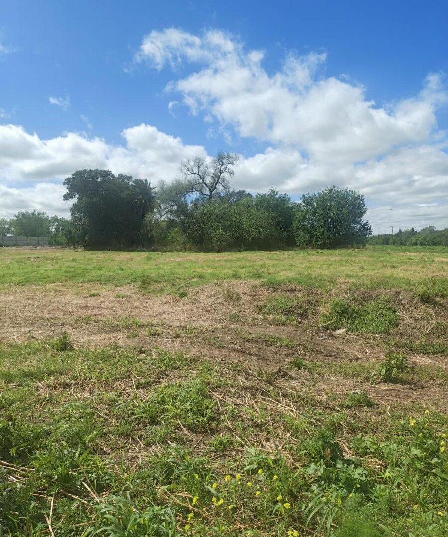 Foto de Lote Industrial Villa Gran Parque, imagen 4