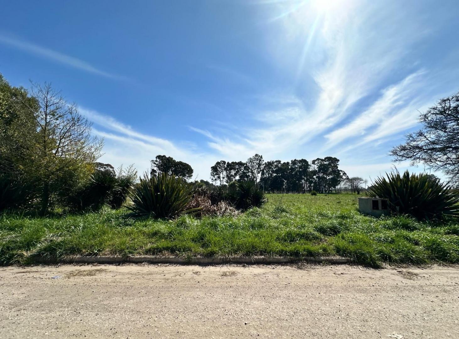Foto de Terreno en venta en madariaga, imagen 5