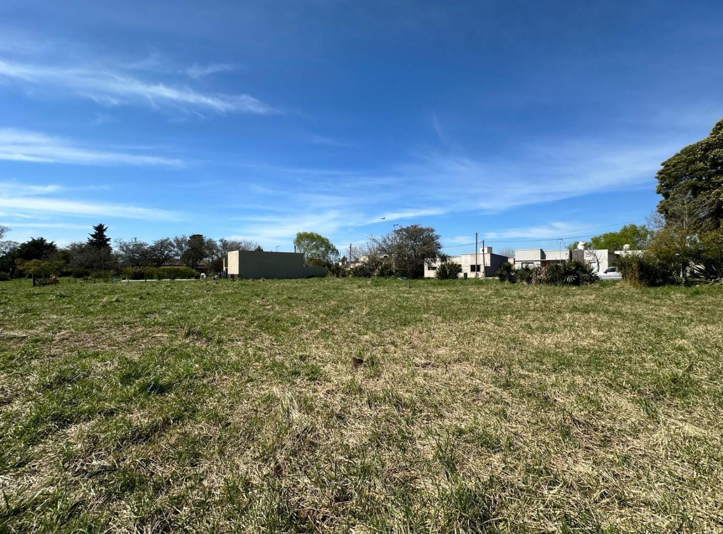 Foto de Terreno en venta en madariaga, imagen 3