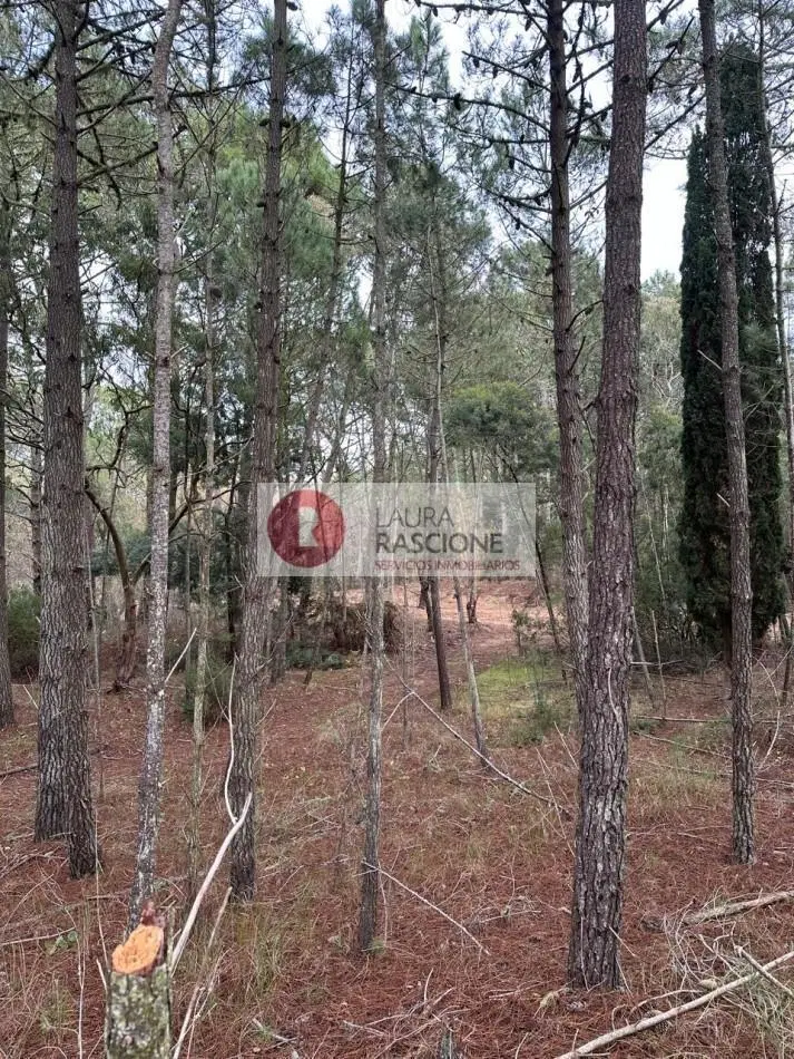 OPORTUNIDAD -LOTE EN BARRIO LOS ENEBROS 3
