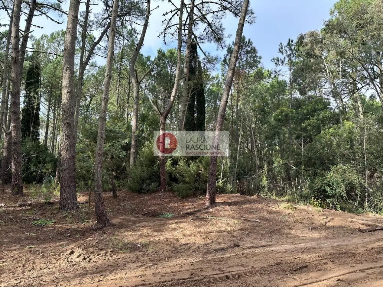 OPORTUNIDAD -LOTE EN BARRIO LOS ENEBROS 5