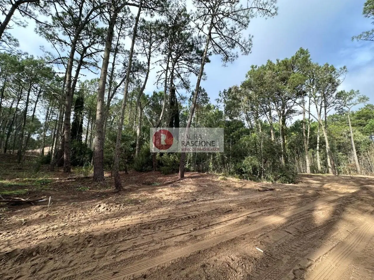 OPORTUNIDAD -LOTE EN BARRIO LOS ENEBROS 2