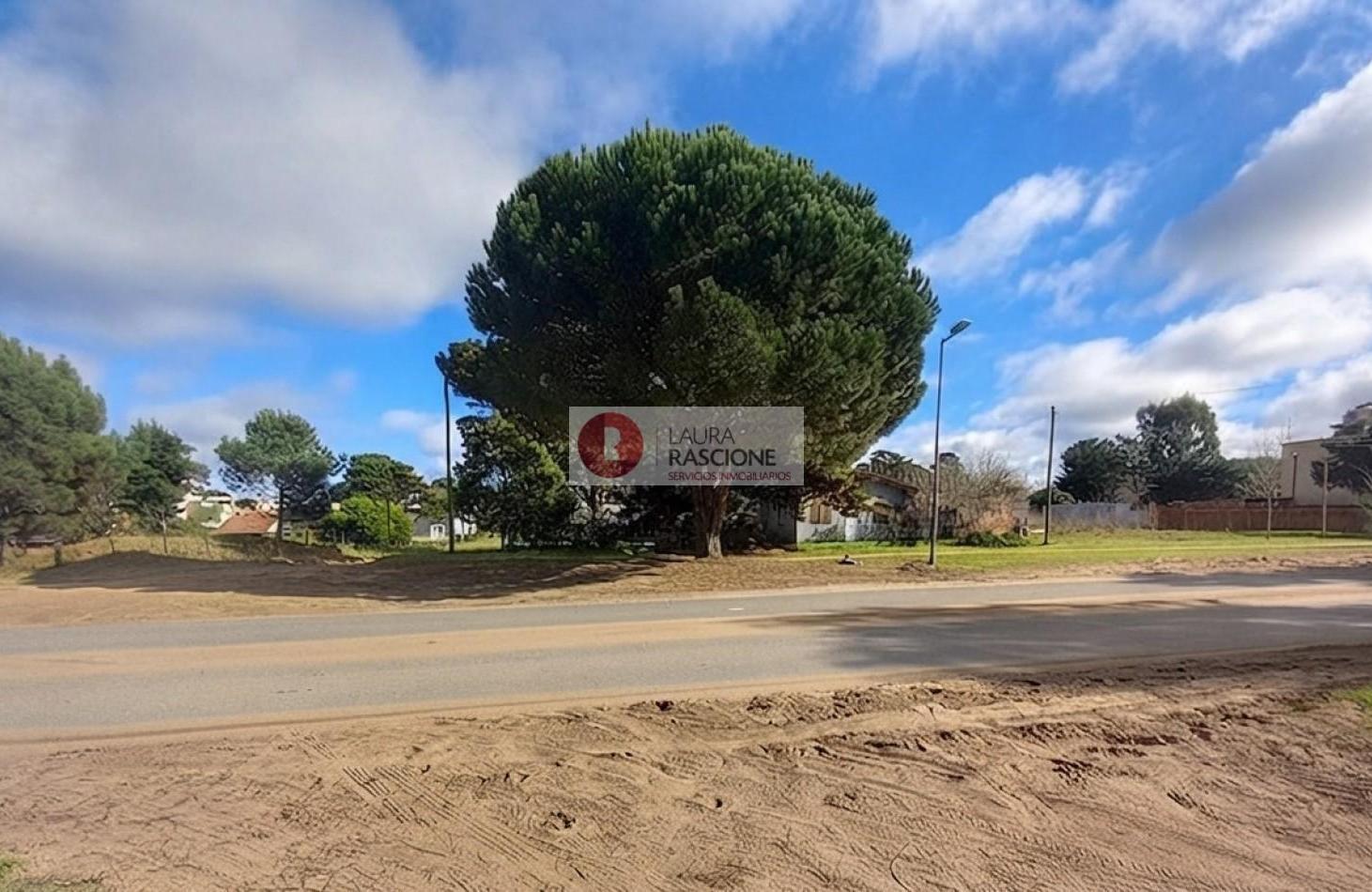 Foto de LOTE MULTIFAMILIAR Y COMERCIAL CON EXCELENTE UBICACION EN OSTENDE, imagen 4