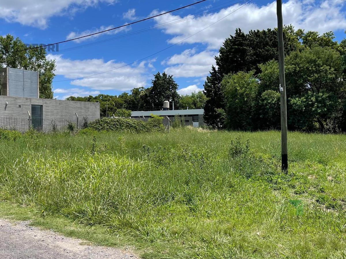 Terreno en Venta en Villa Elisa 5