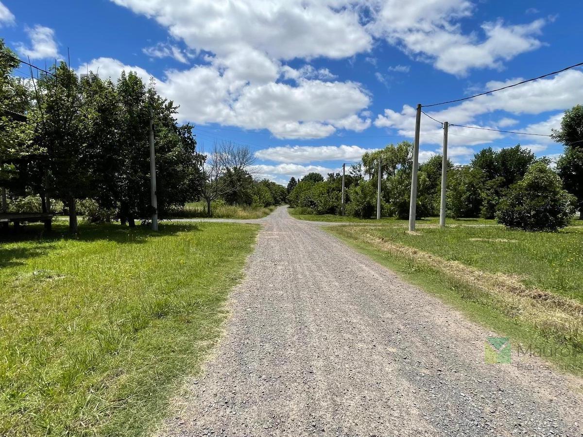 Terreno en Venta en Villa Elisa 4