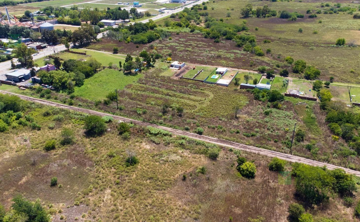Foto de Hectáreas en venta Lisandro Olmos, La Plata, imagen 5