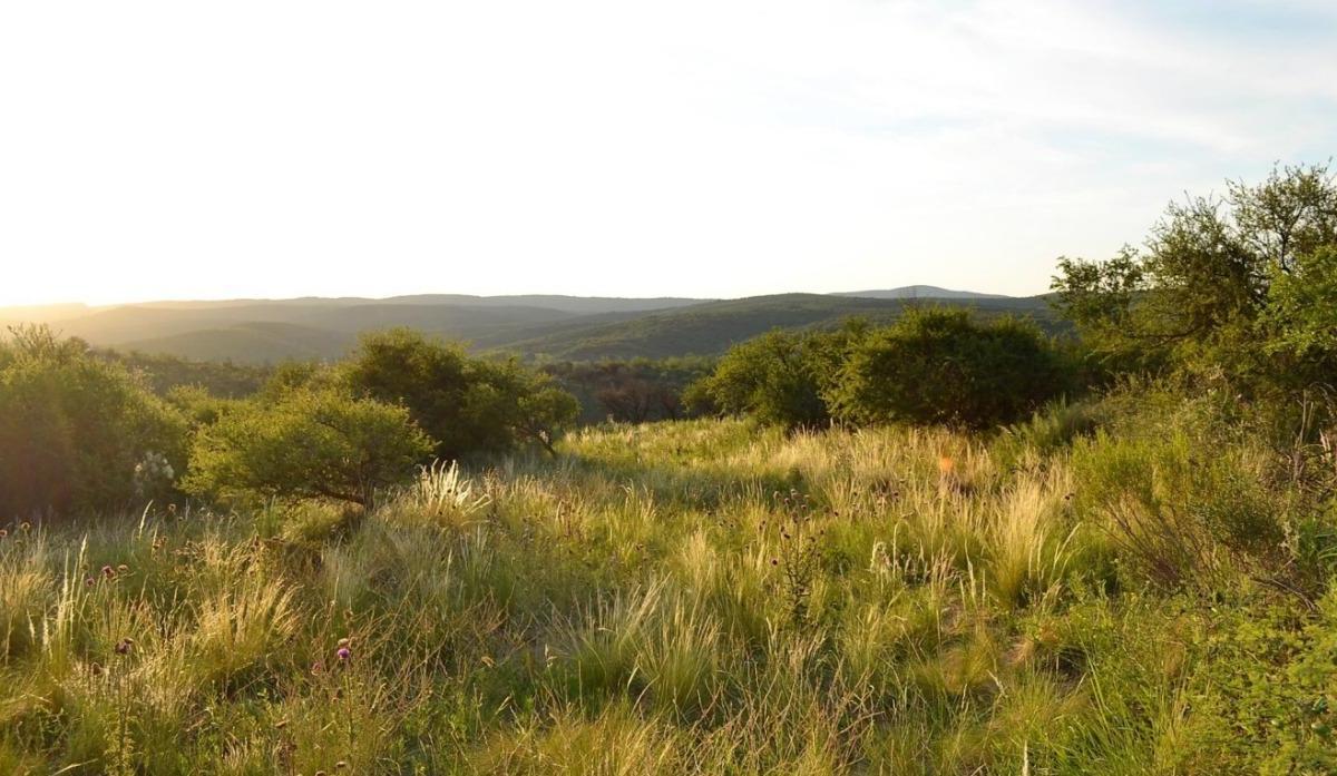 ¡Vendemos Fracciones Sobre Ruta 38 - La Cumbre! Acceso Directo y Vistas 360° a Las Sierras 4