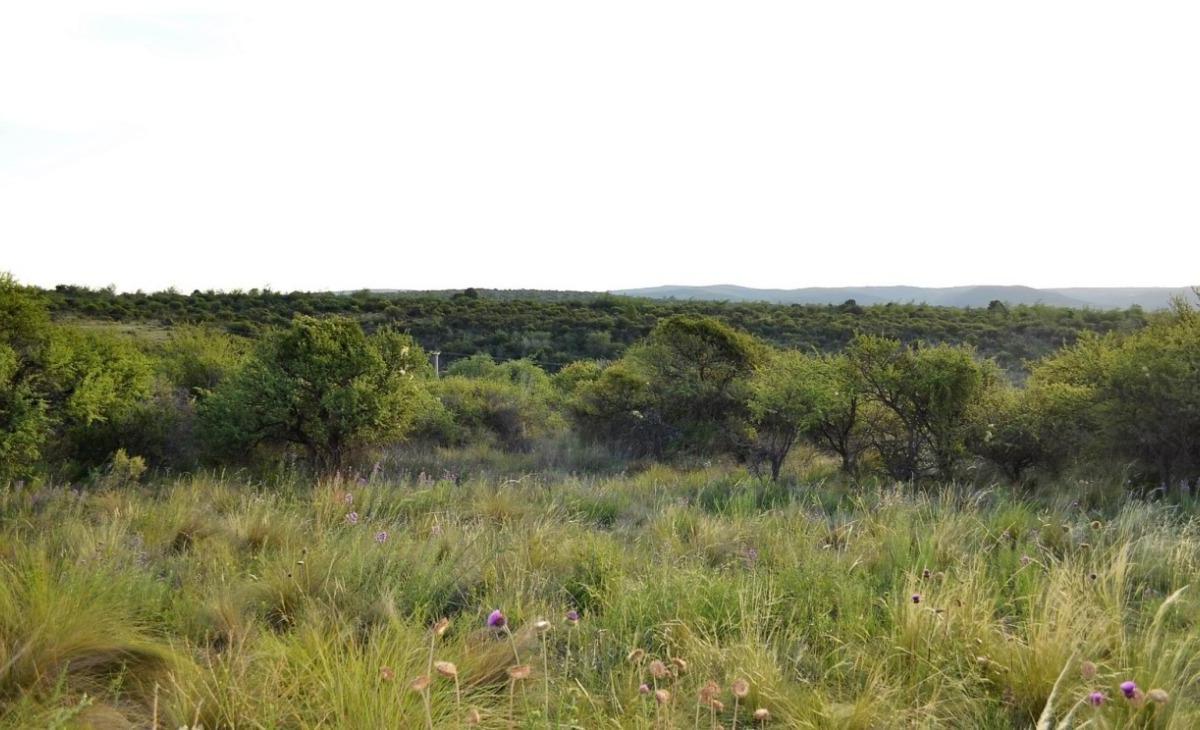 ¡Vendemos Fracciones Sobre Ruta 38 - La Cumbre! Acceso Directo y Vistas 360° a Las Sierras 4