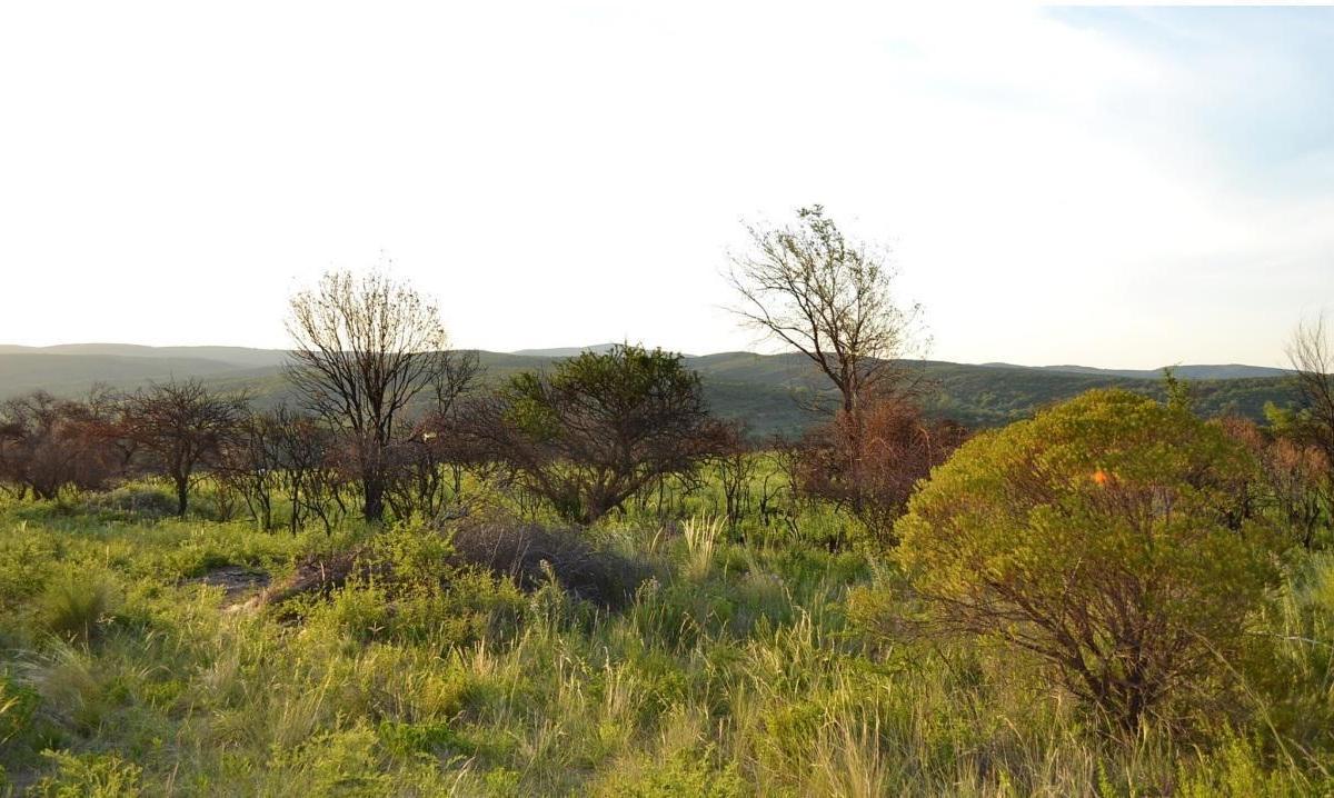 ¡Vendemos Fracciones Sobre Ruta 38 - La Cumbre! Acceso Directo y Vistas 360° a Las Sierras 3
