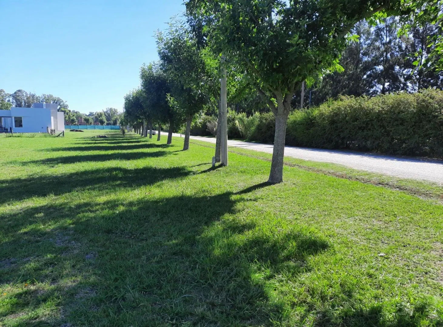 Venta Lote Campos de Roca II Brandsen 8