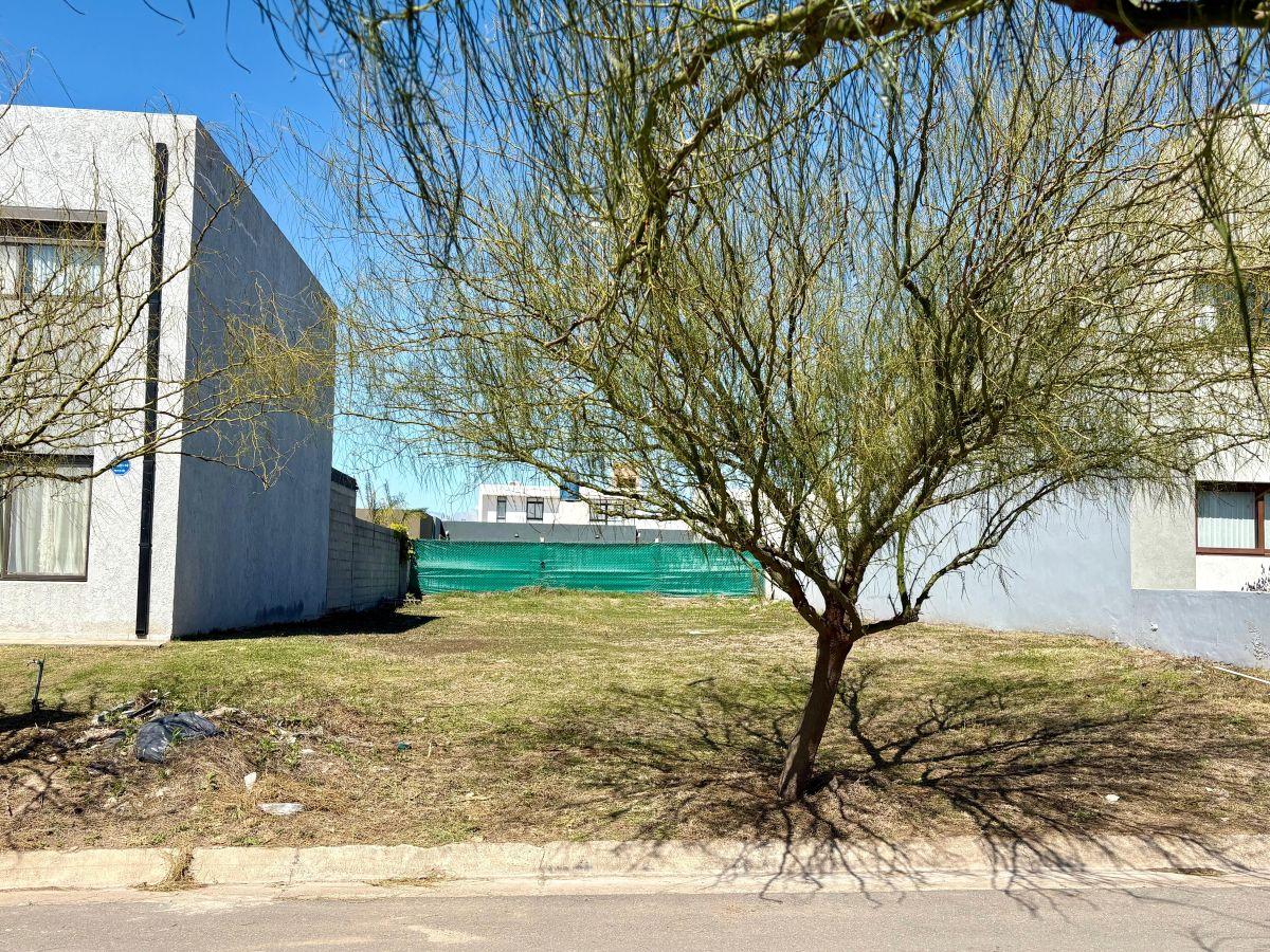 Foto de VENTA LOTE DOCTA BOULEVARD FRENTE ESPACIO VERDE 360 m² APTO DUPLEX, imagen 4