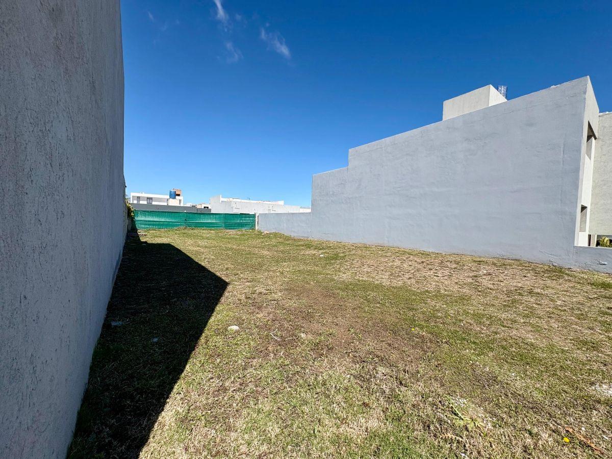 Foto de VENTA LOTE DOCTA BOULEVARD FRENTE ESPACIO VERDE 360 m² APTO DUPLEX, imagen 5