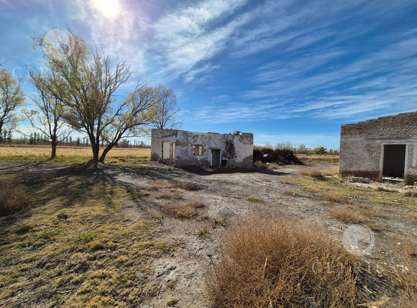 Foto de VENTA de Chacra 25 Has sobre Ruta Provincial 65 - Allen, imagen 4