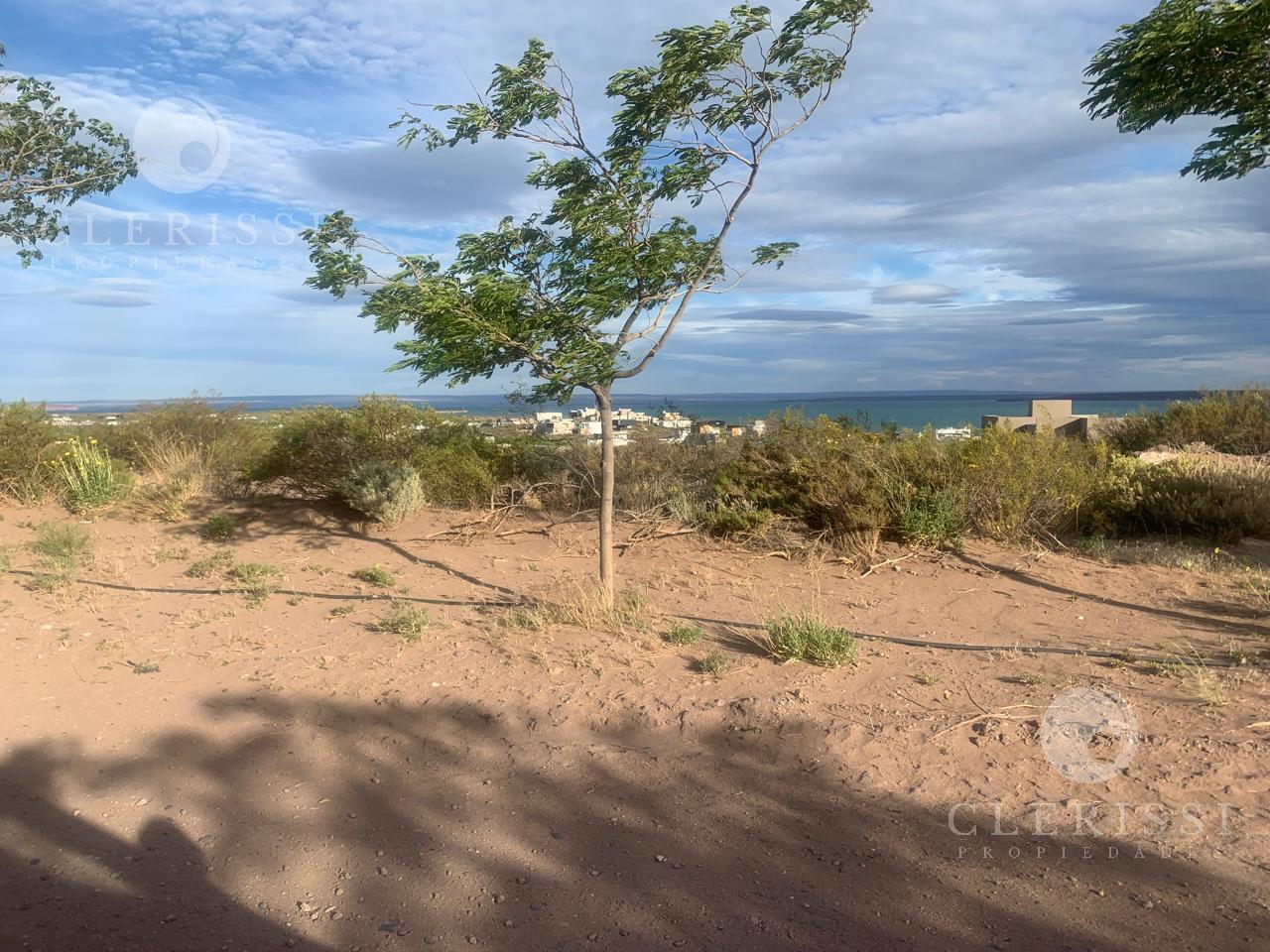 Foto de Venta de Lote 800m2, Sector Terrazas , en Barrio cerrado Chocon Medio, imagen 1