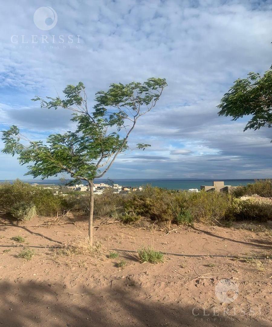 Foto de Venta de Lote 800m2, Sector Terrazas , en Barrio cerrado Chocon Medio, imagen 5