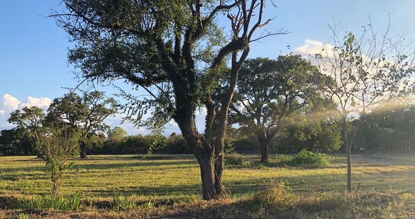 Terreno en Venta en Salta 4