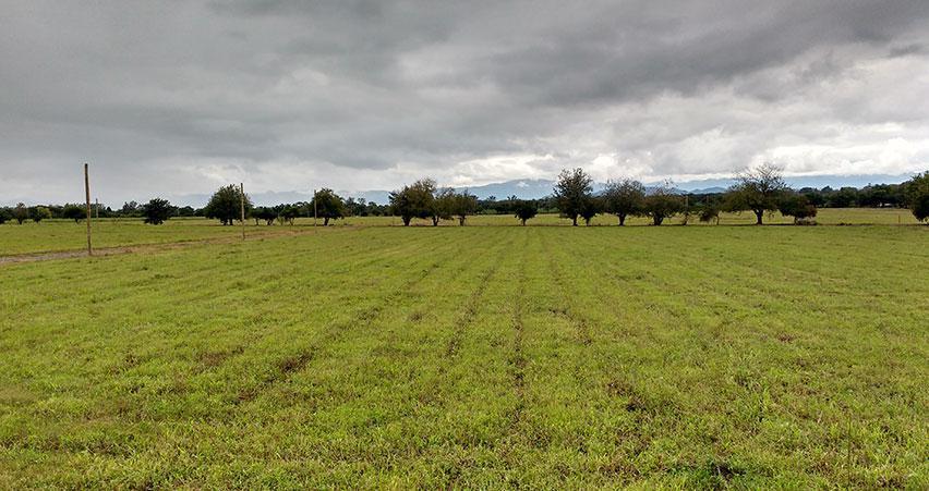 Terreno en Venta en Salta 1