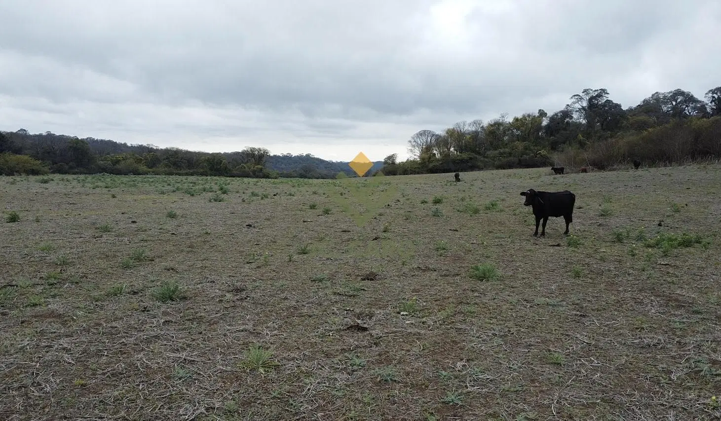 Campo en Venta en Anta 4