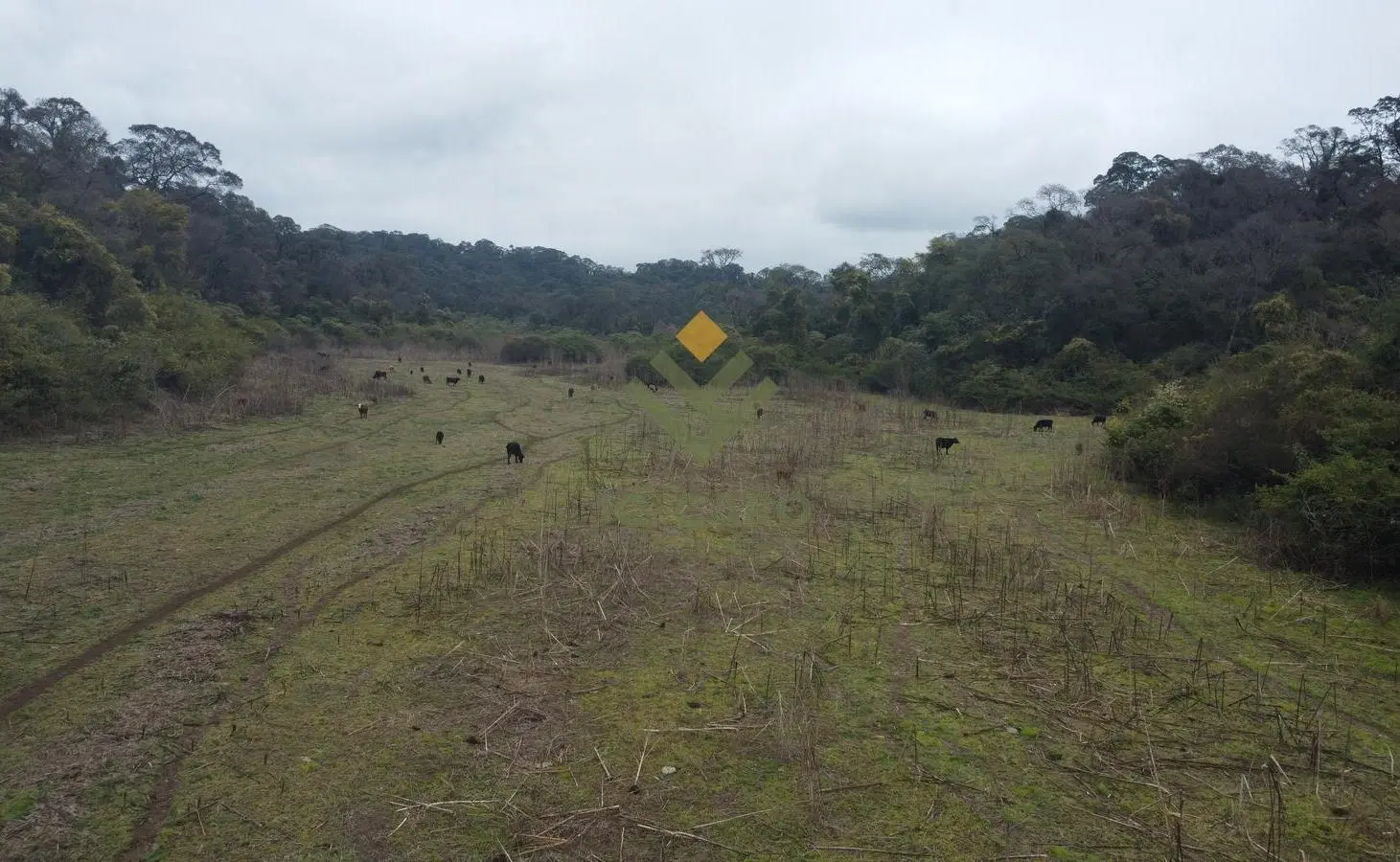 Campo en Venta en Anta 5
