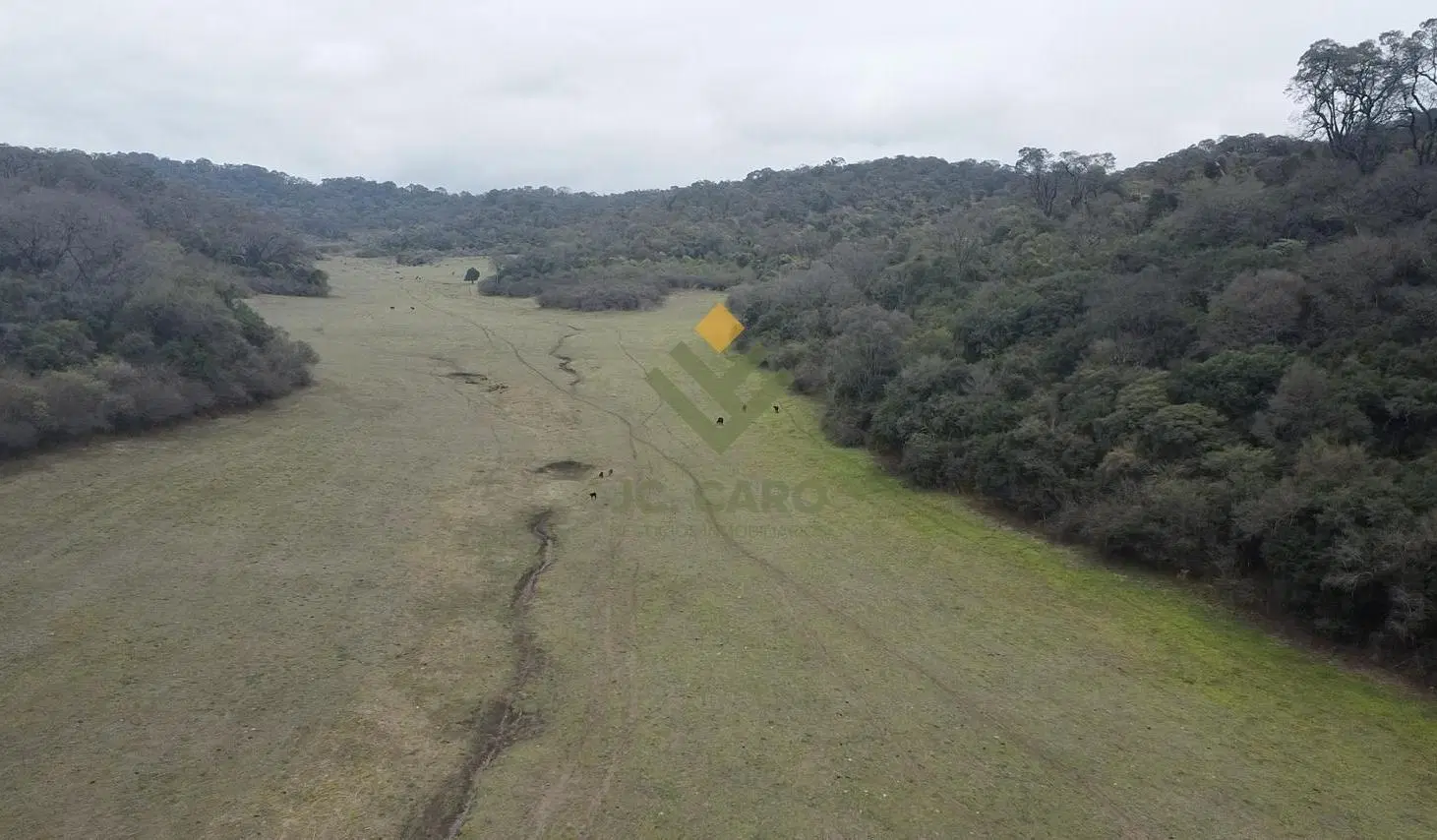 Campo en Venta en Anta 8