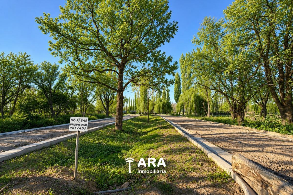 Foto de LOTE CON FINANCIACION- NEUQUEN CAPITAL, imagen 1