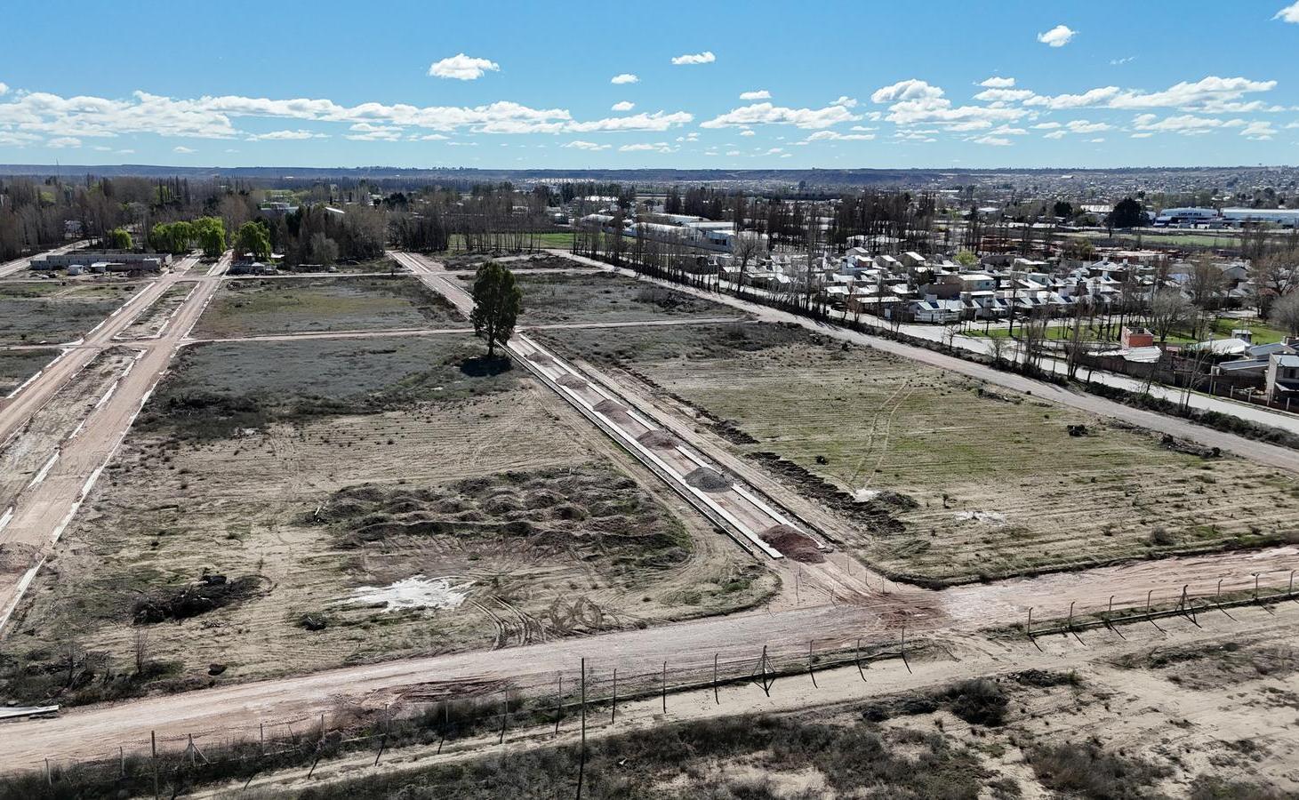Foto de Gran Boulevard, imagen 5