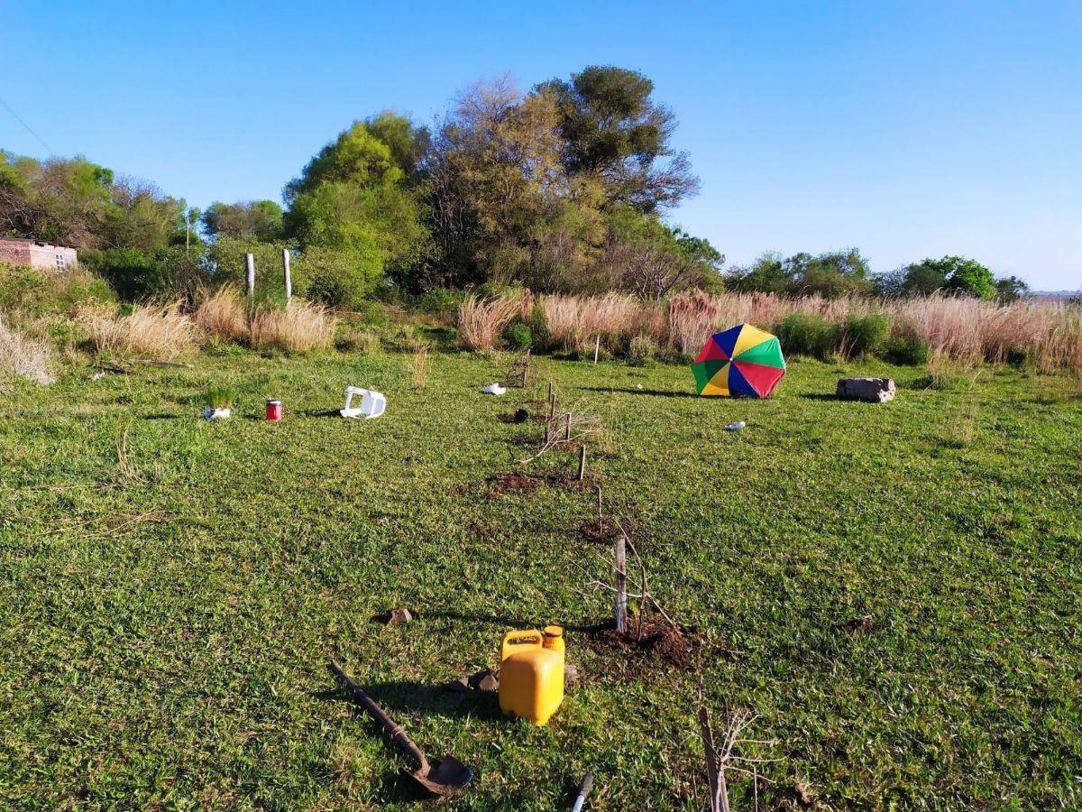 Foto de Vendo o permuto terreno zona seccion 3 Itaembe Guazu, imagen 5