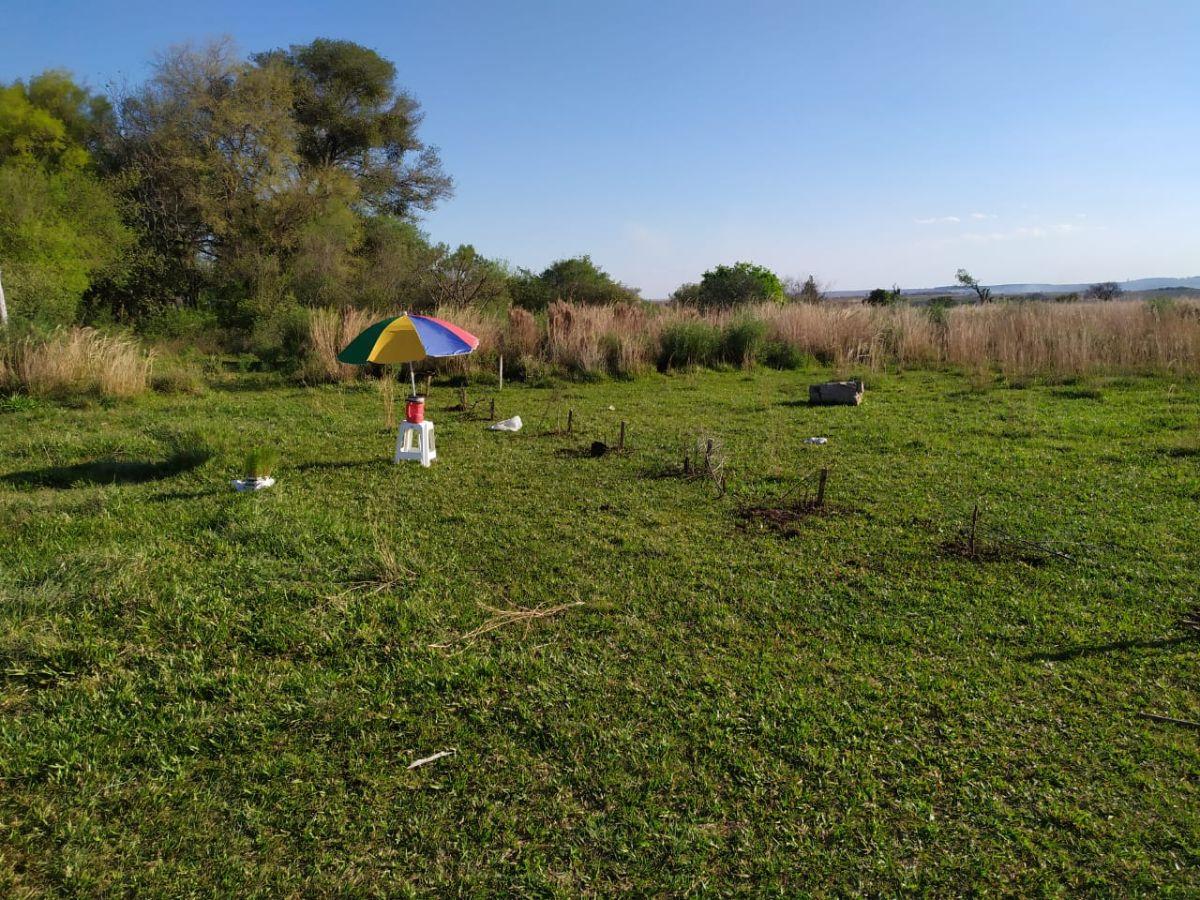 Foto de Vendo o permuto terreno zona seccion 3 Itaembe Guazu, imagen 3