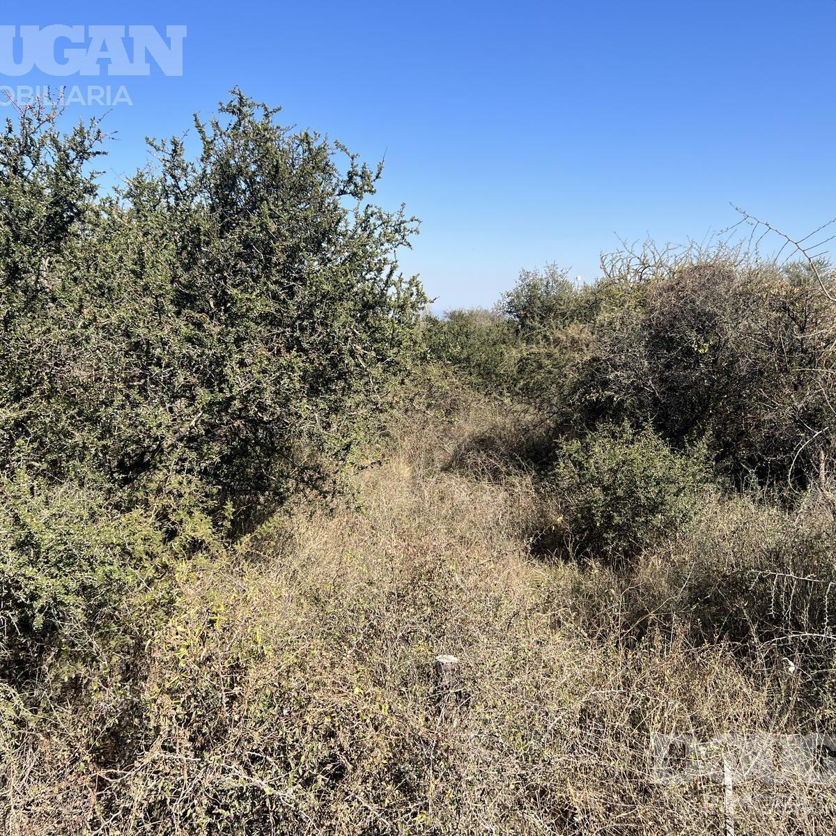 Terreno en Venta - Las Moreras 3