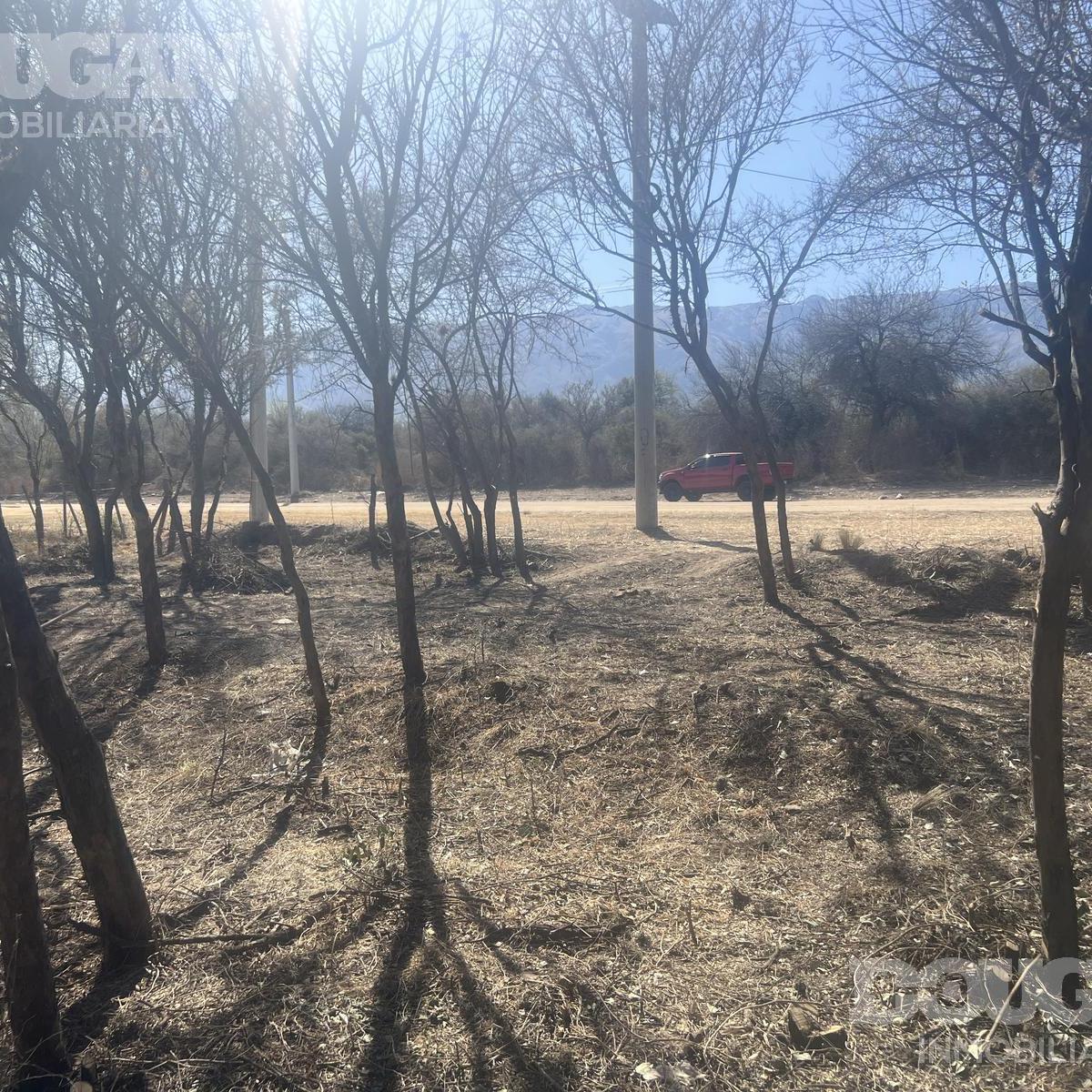 Terreno Comercial en Venta - Merlo San Luis 5