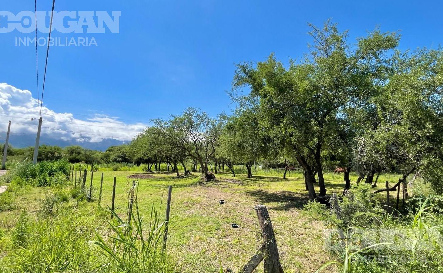Lote comercial en venta - Merlo San Luis