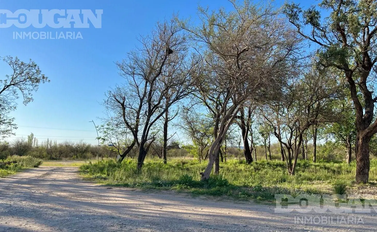 LOTES DESDE 7500 USD - Estacion Conlara / San Luis 8