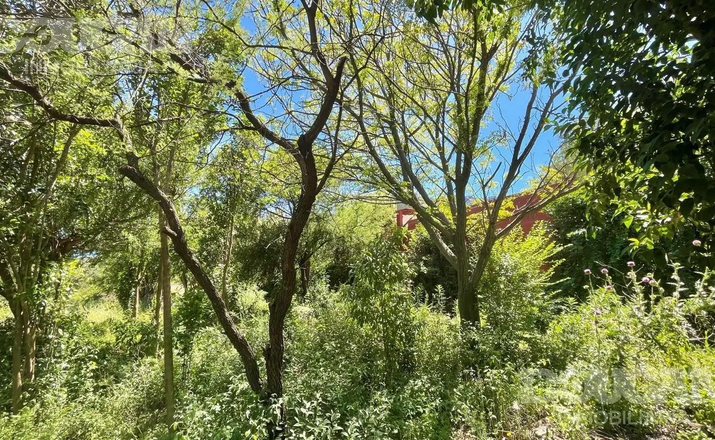 LOTE SOBRE RUTA 5 - RINCON DEL ESTE / MERLO SAN LUIS 8
