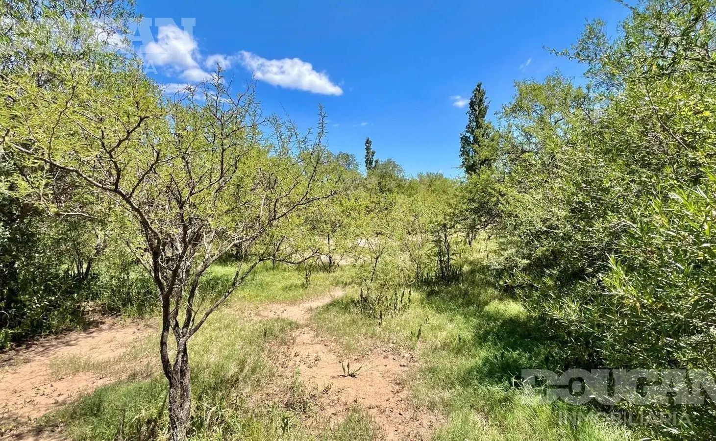 Lote listo para construir - Servicios activos - Merlo San Luis 4