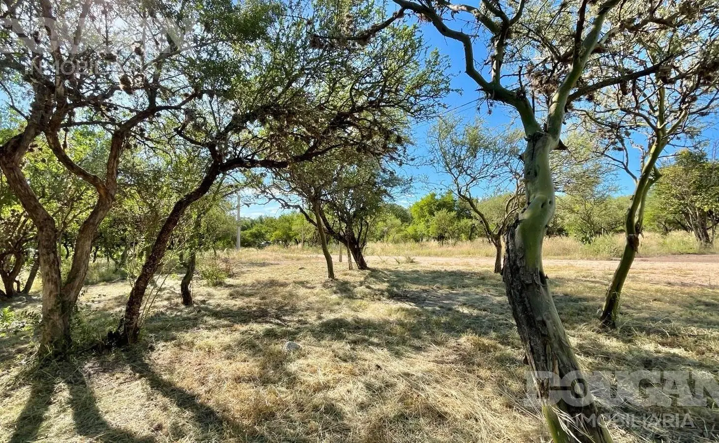 Lotes con cercanía al centro - GAS NATURAL y ESCRITURA 4