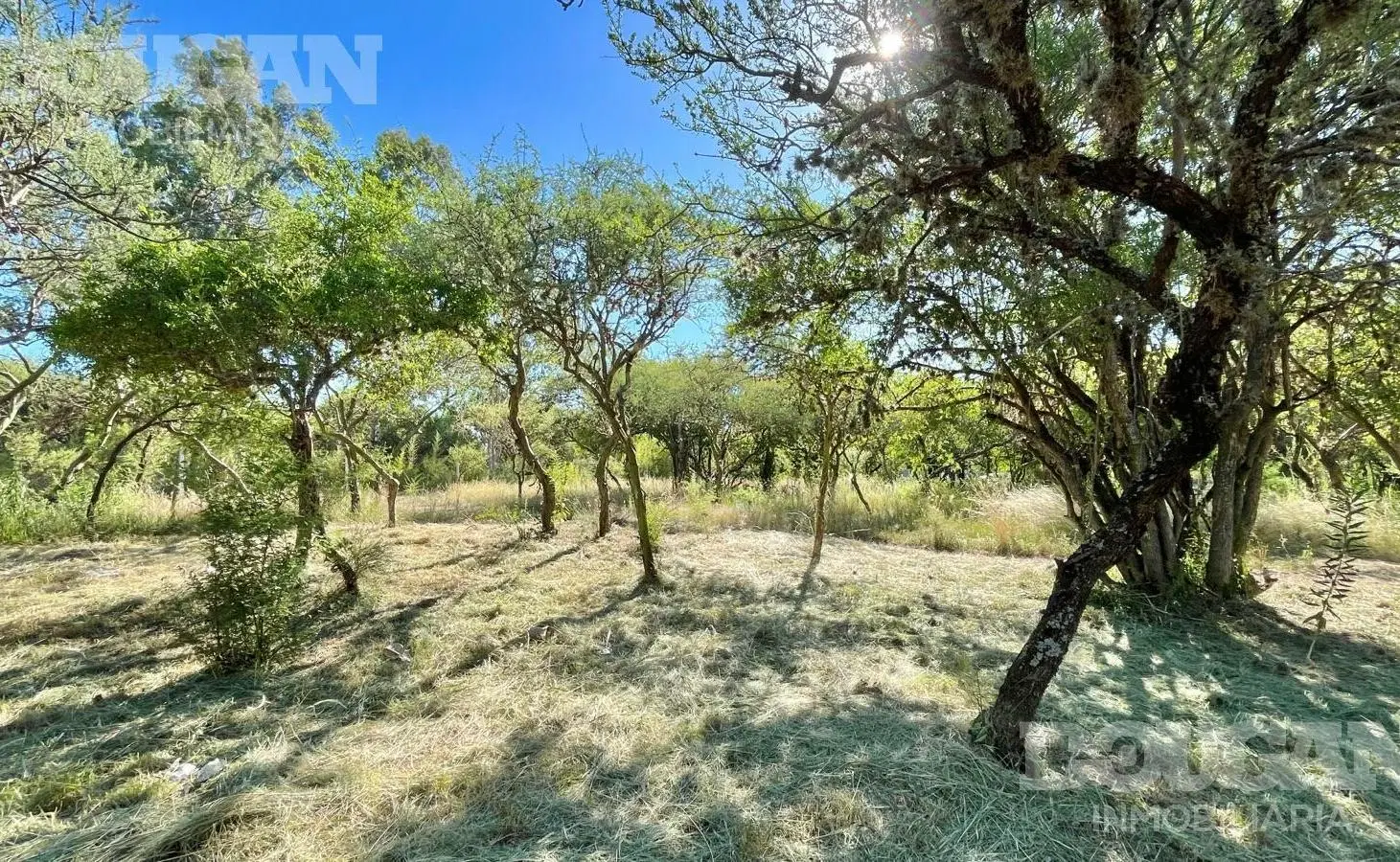 Lotes con cercanía al centro - GAS NATURAL y ESCRITURA 8