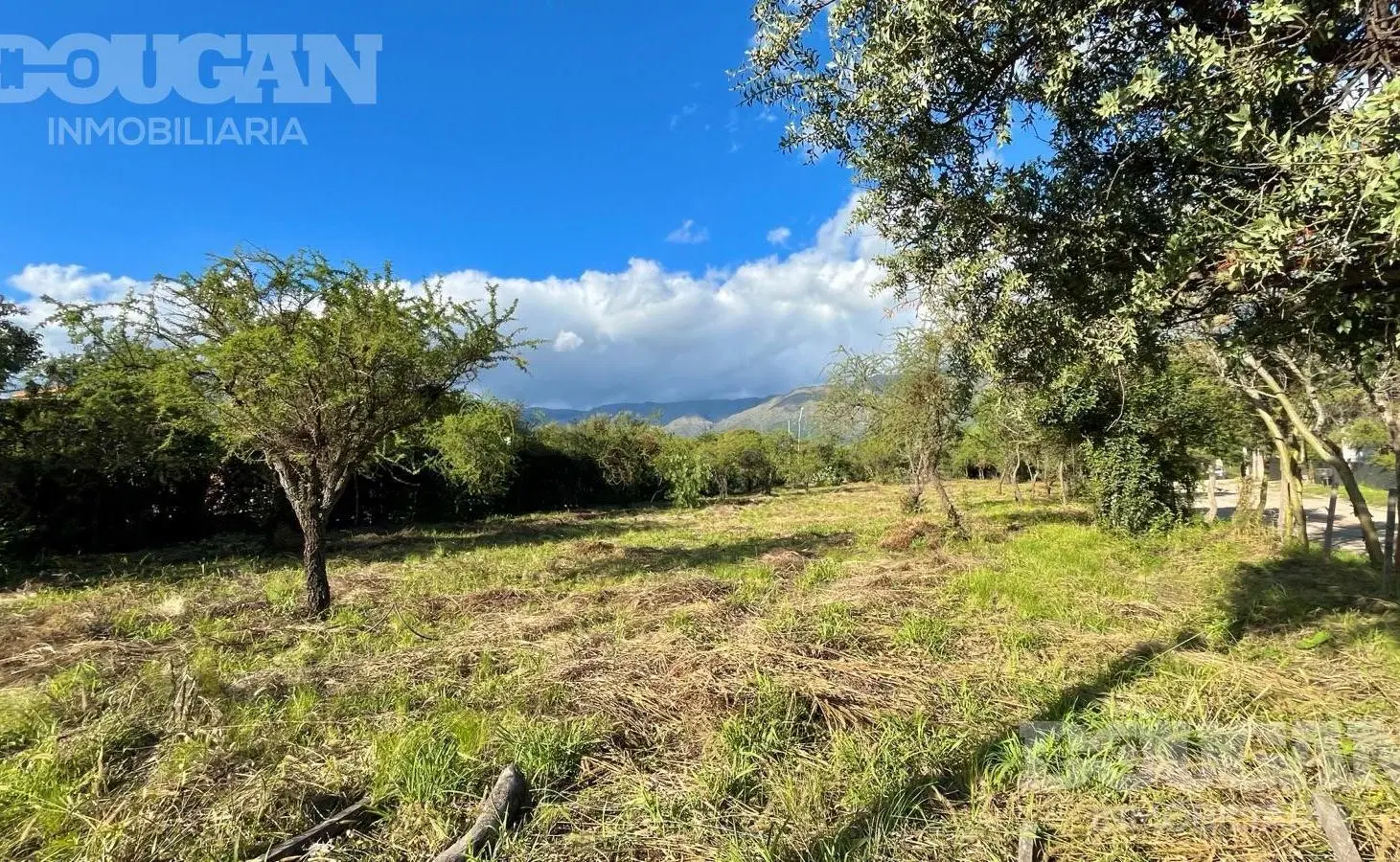 Terreno en Carpinteria 8