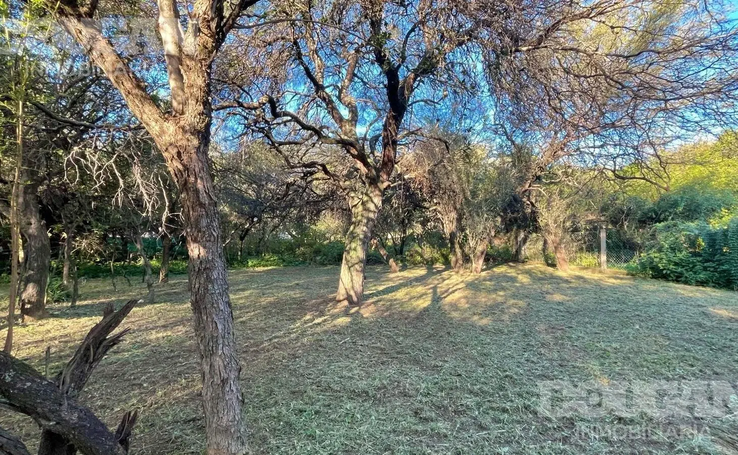 Terreno en barrio consolidado - cercanía al centro - Merlo San Luis 4