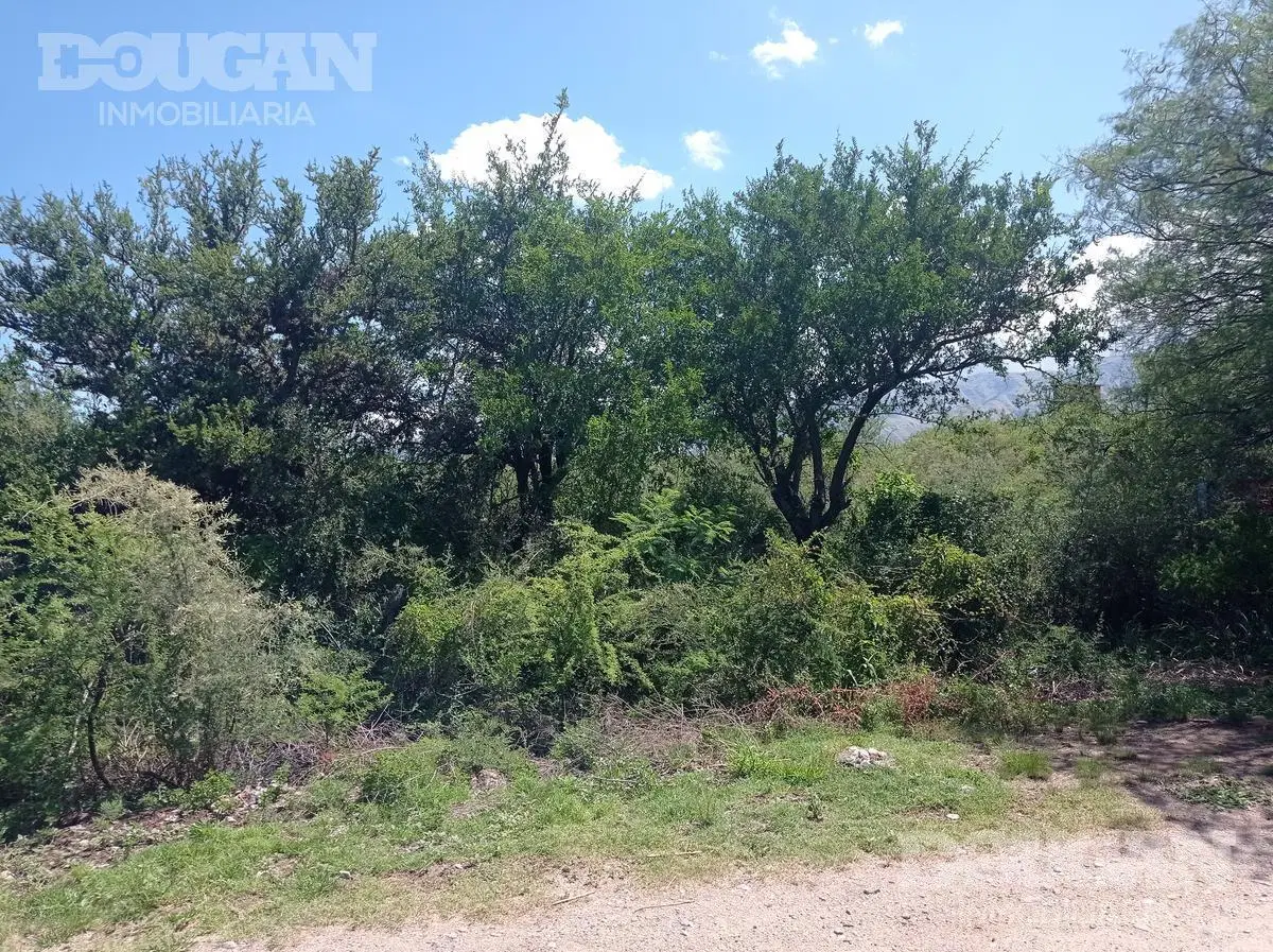 Terreno en Venta - Carpinteria 5