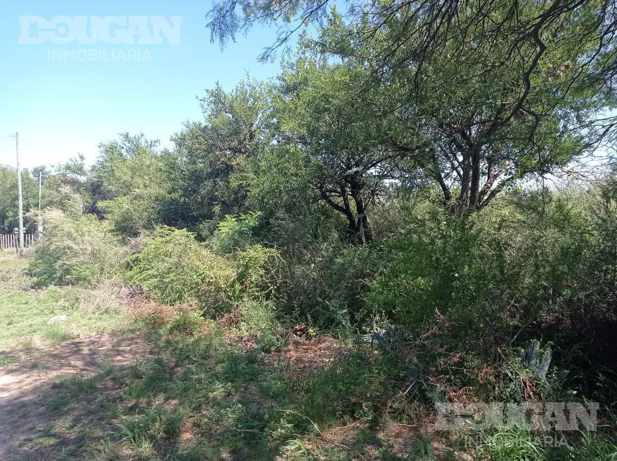 Terreno en Venta - Carpinteria 3