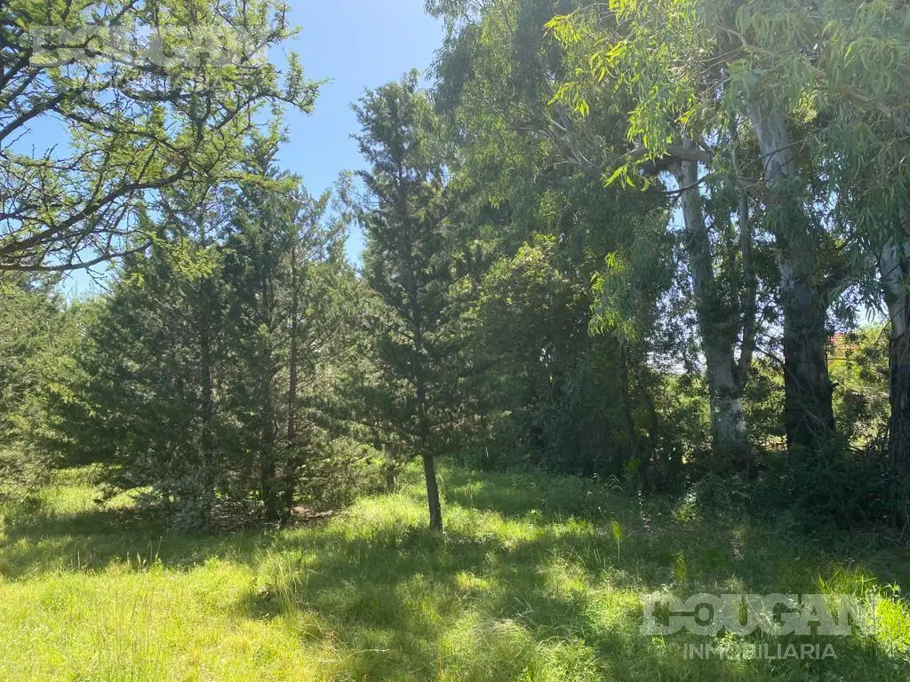 Terreno en Venta - Rincón Del Este 4