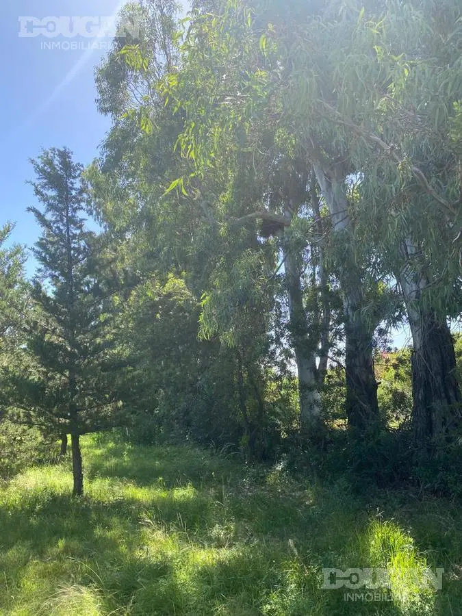Terreno en Venta - Rincón Del Este 5