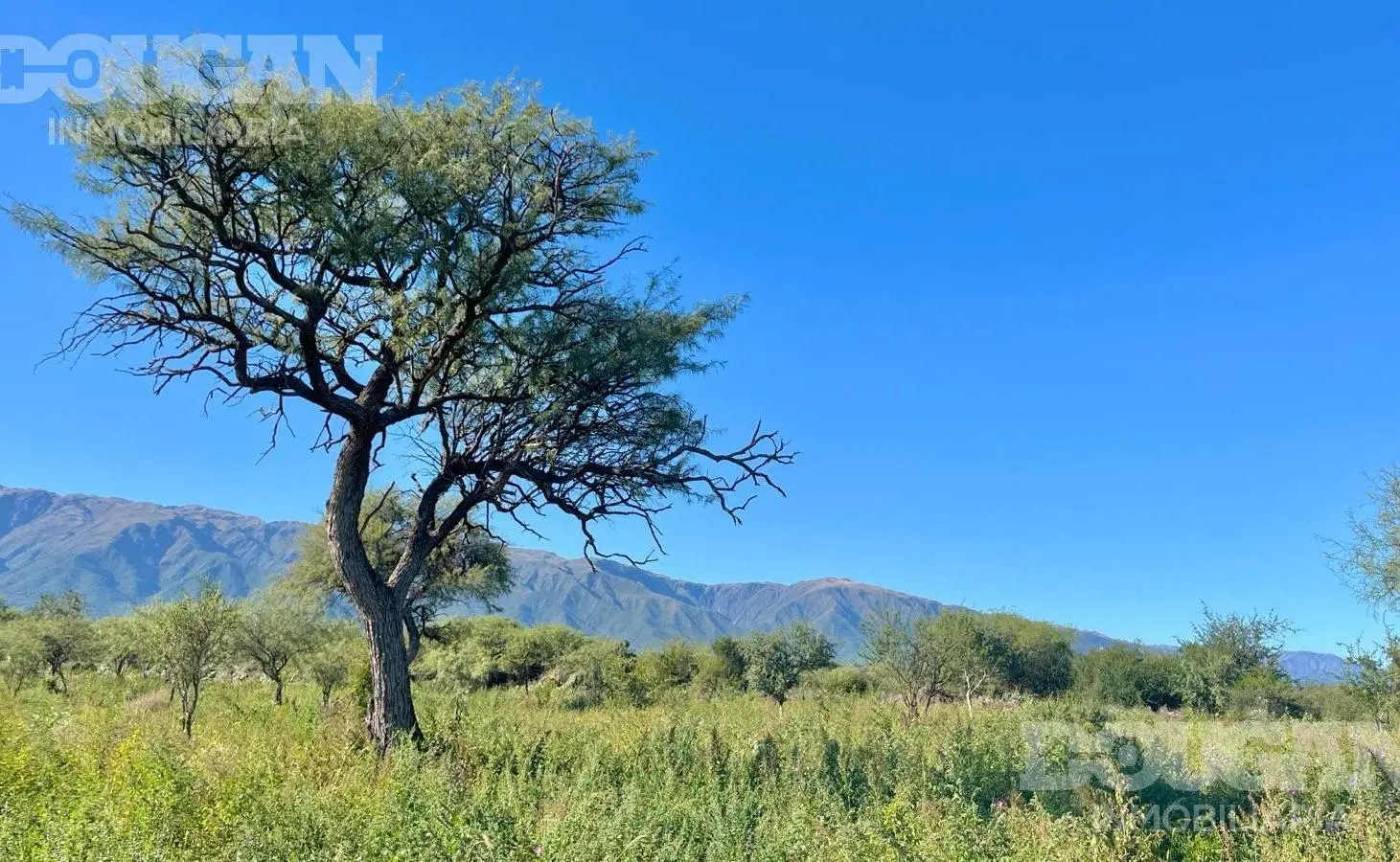 Terreno en  venta 4