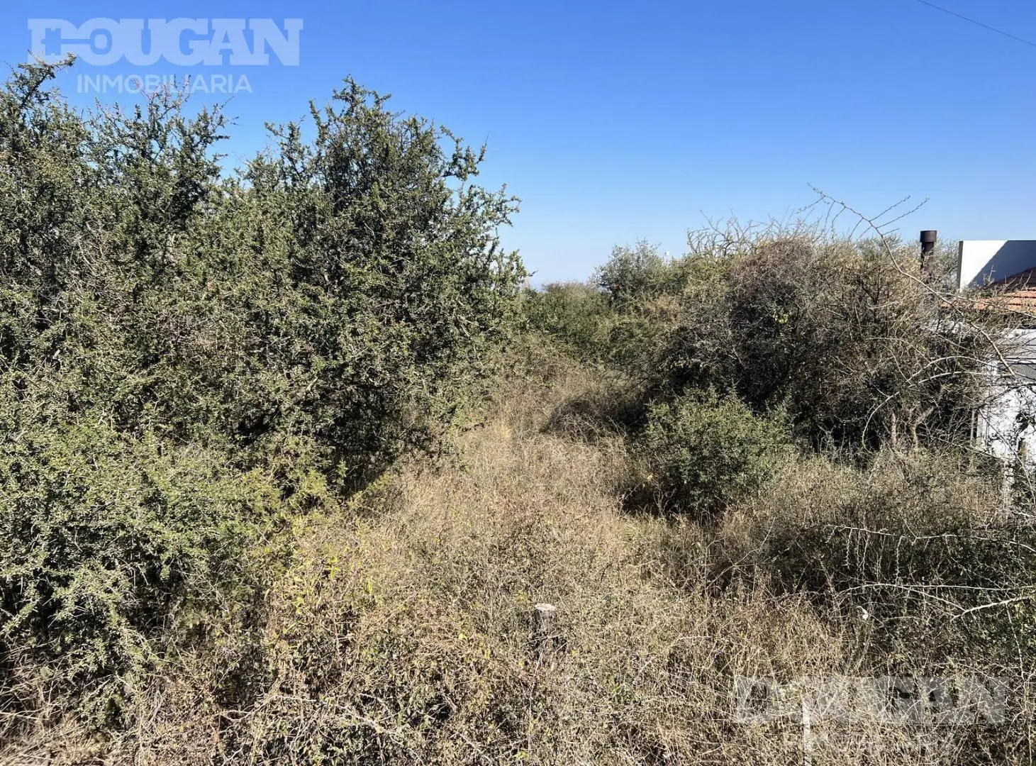 Terreno en Venta - Las Moreras 3