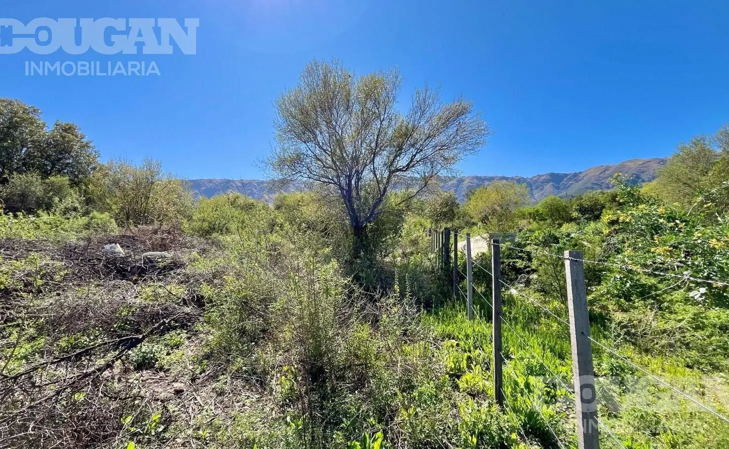 Tres Parcelas en Venta sobre calle El Poleo - Cerro de Oro / Merlo San Luis 4