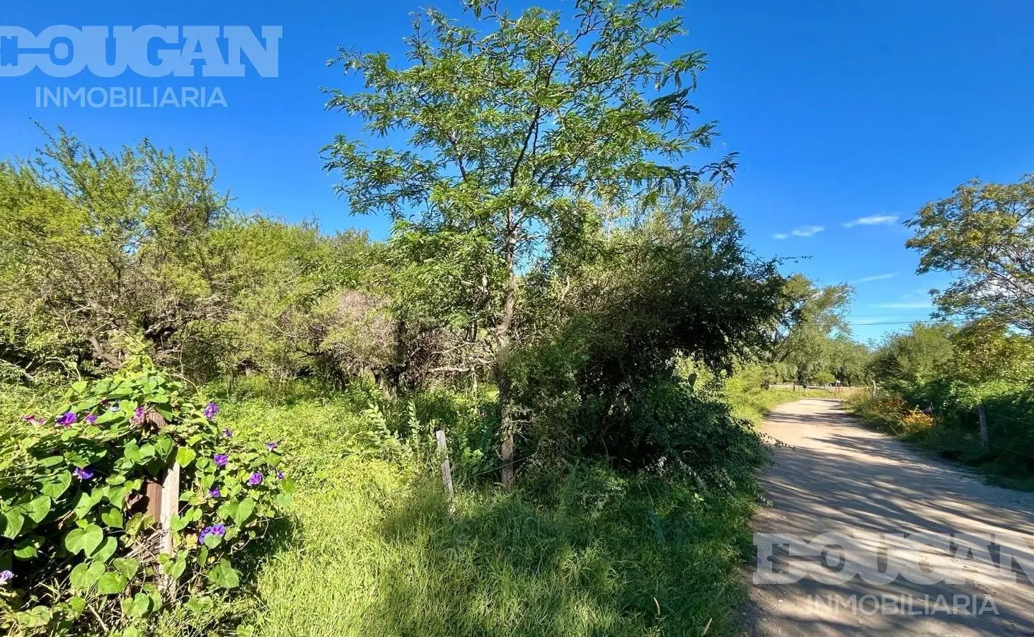 Terreno Esquina a la Venta en Barranca Colorada 4