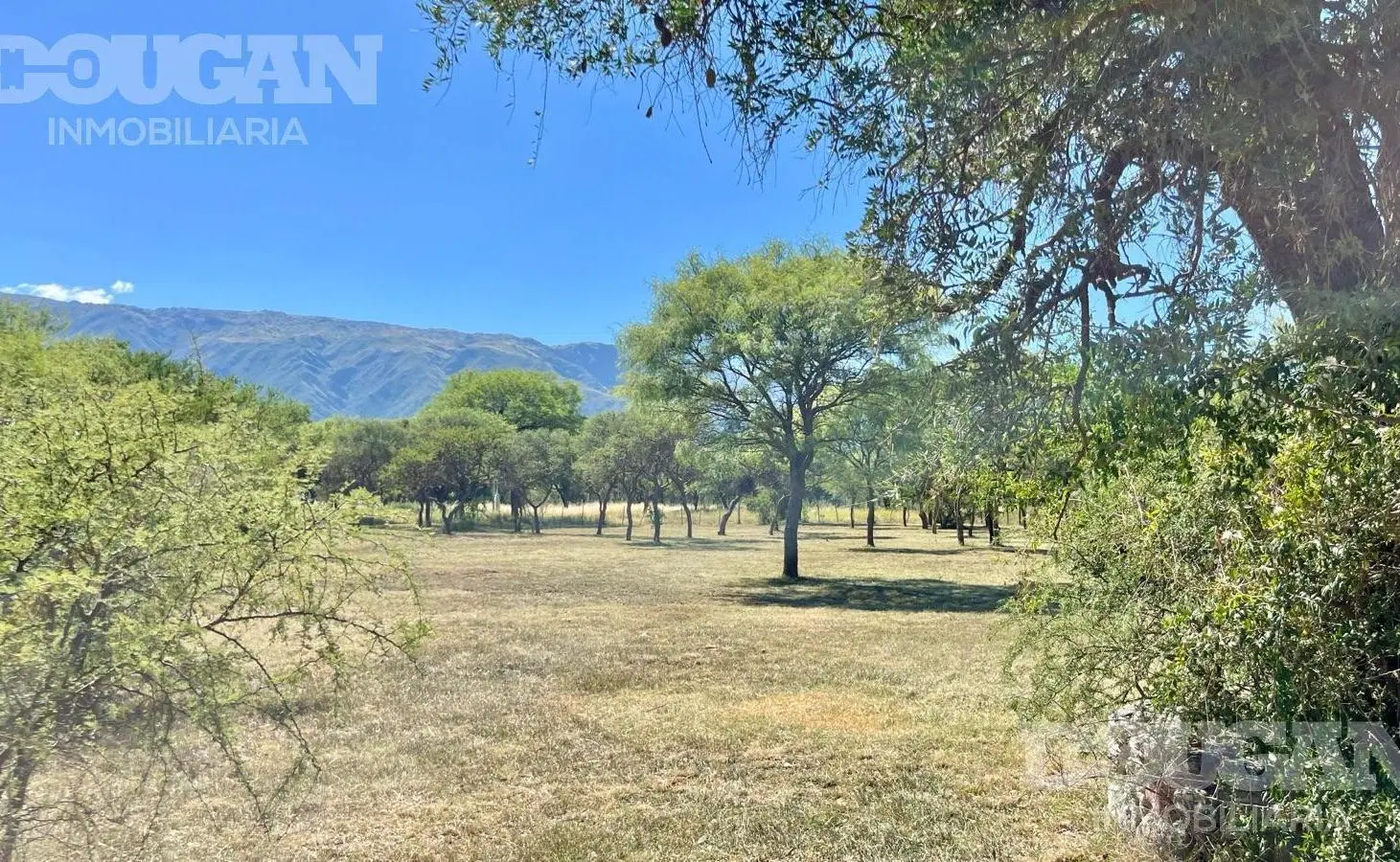 VENTA - Lote parquizado - Los Molles 8